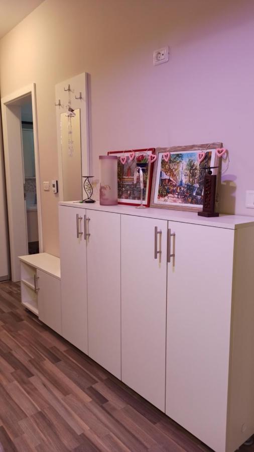 Cozy Home Bujorilor Timişoara Eksteriør billede