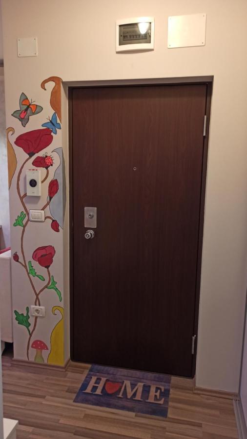 Cozy Home Bujorilor Timişoara Eksteriør billede