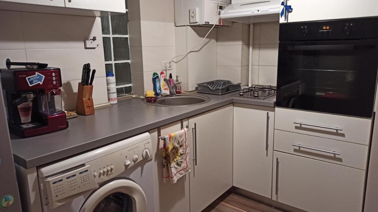 Cozy Home Bujorilor Timişoara Eksteriør billede