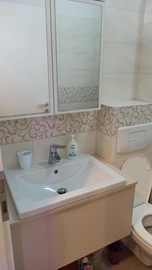 Cozy Home Bujorilor Timişoara Eksteriør billede